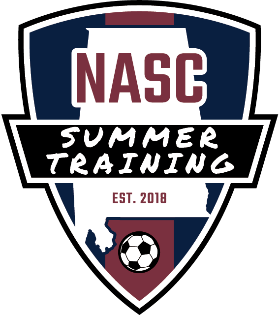 Summer Soccer Skills Camp